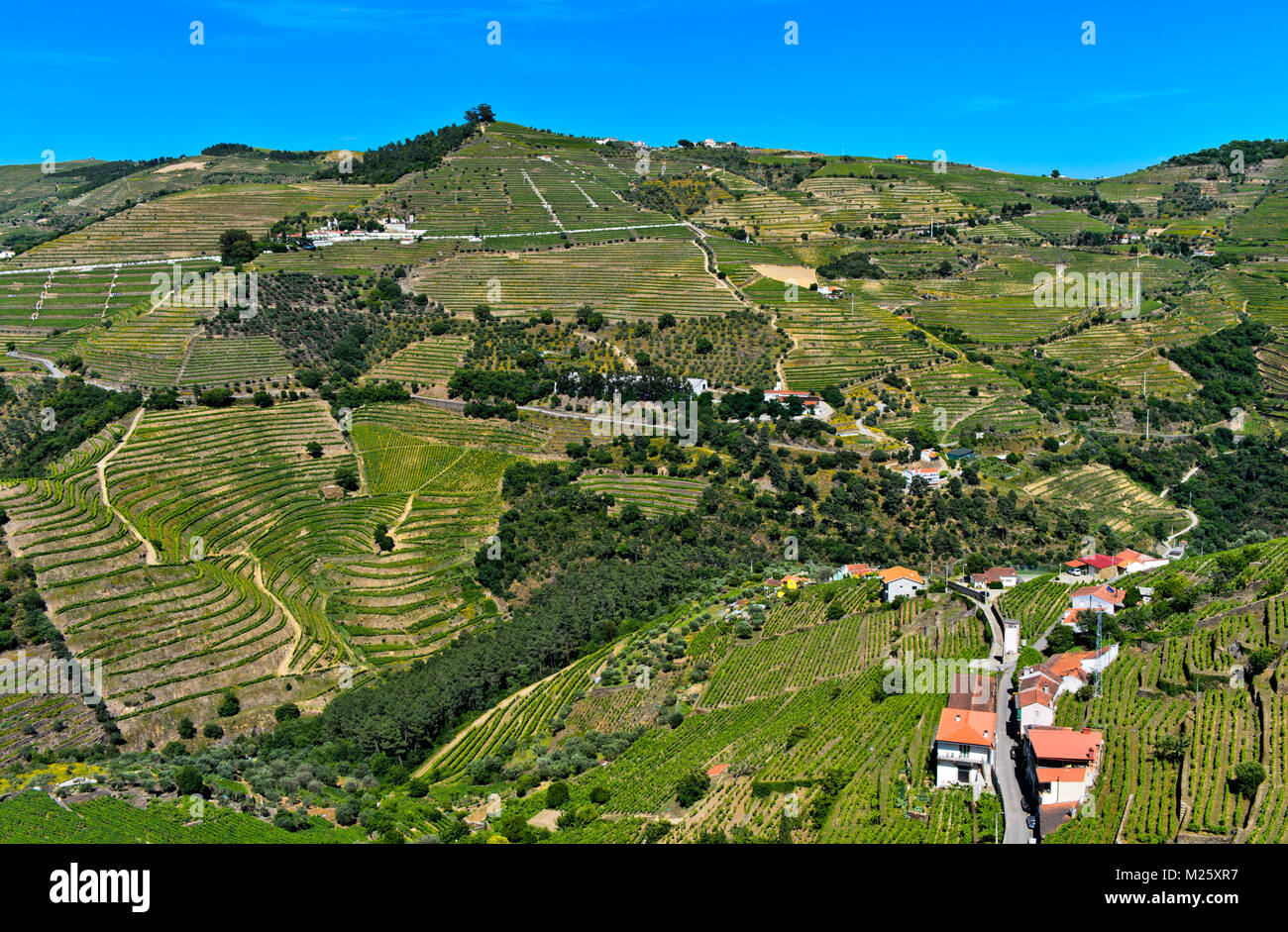 Terraced vineyards in the Rio Pinhao Valley, Sao Cristovao do Douro, Portugal Stock Photo