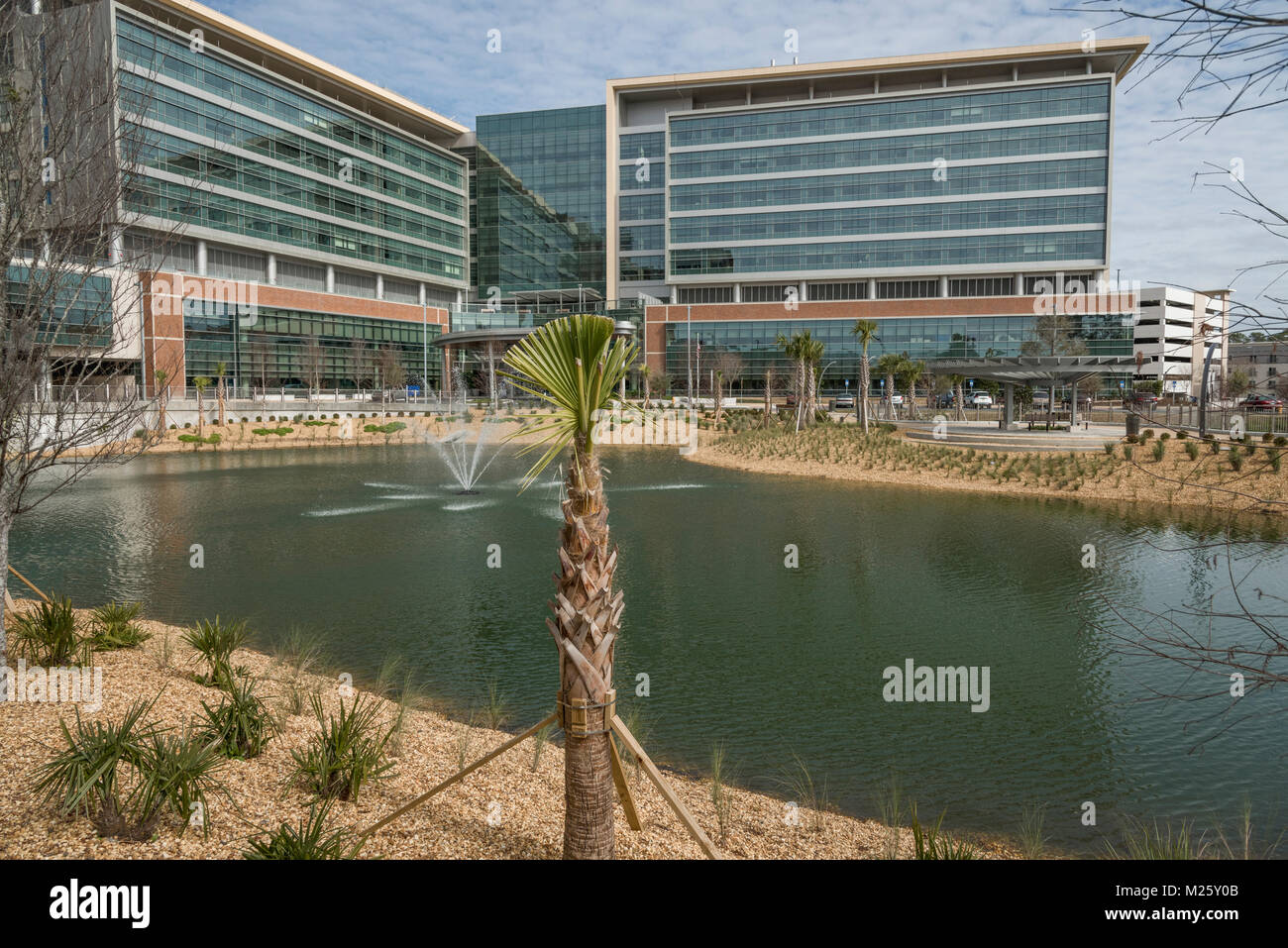 Shands UFHealth Cancer Hospital Gainesville, Florida USA Stock Photo