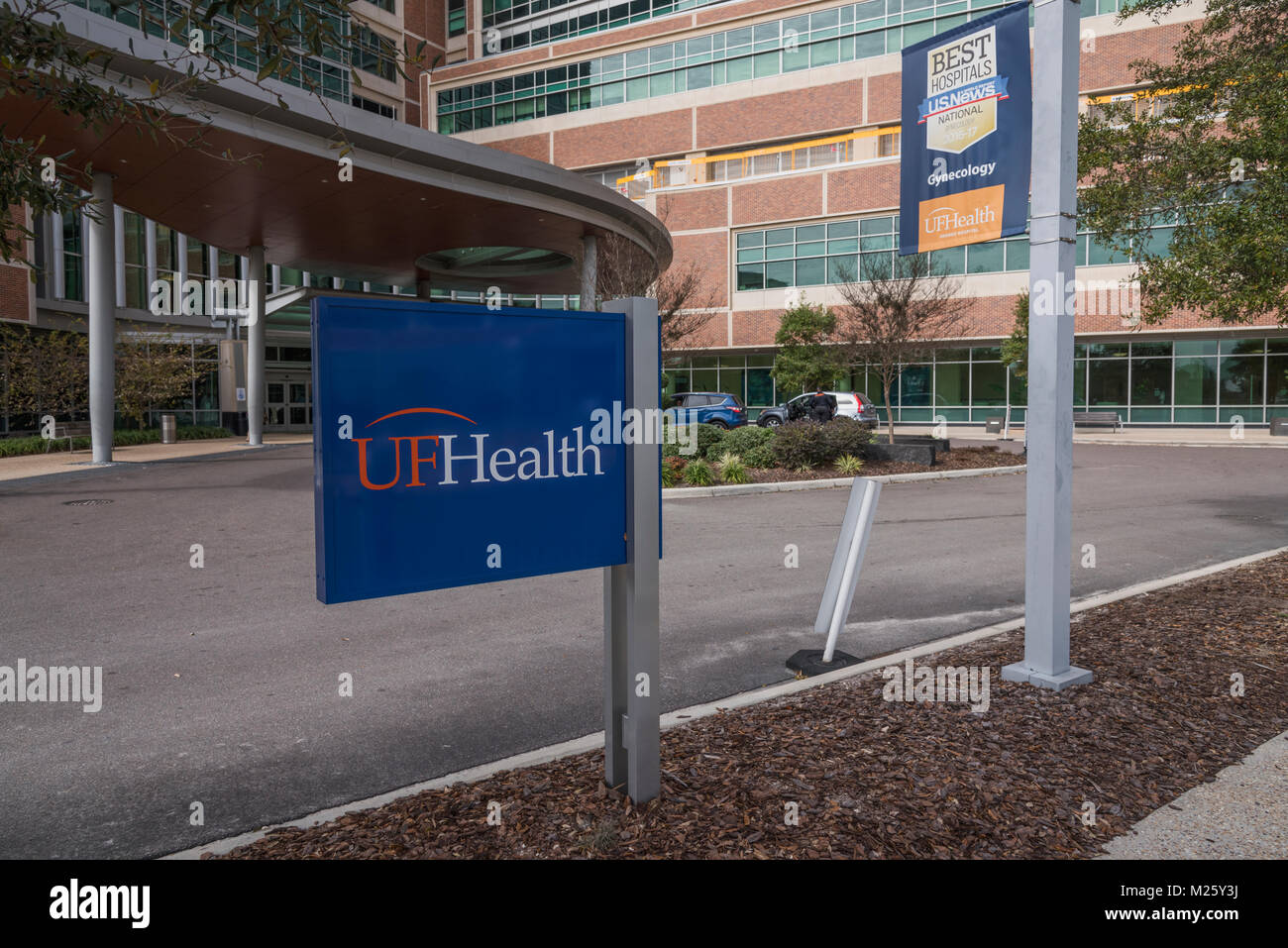 Neuromedicine hi-res stock photography and images - Alamy