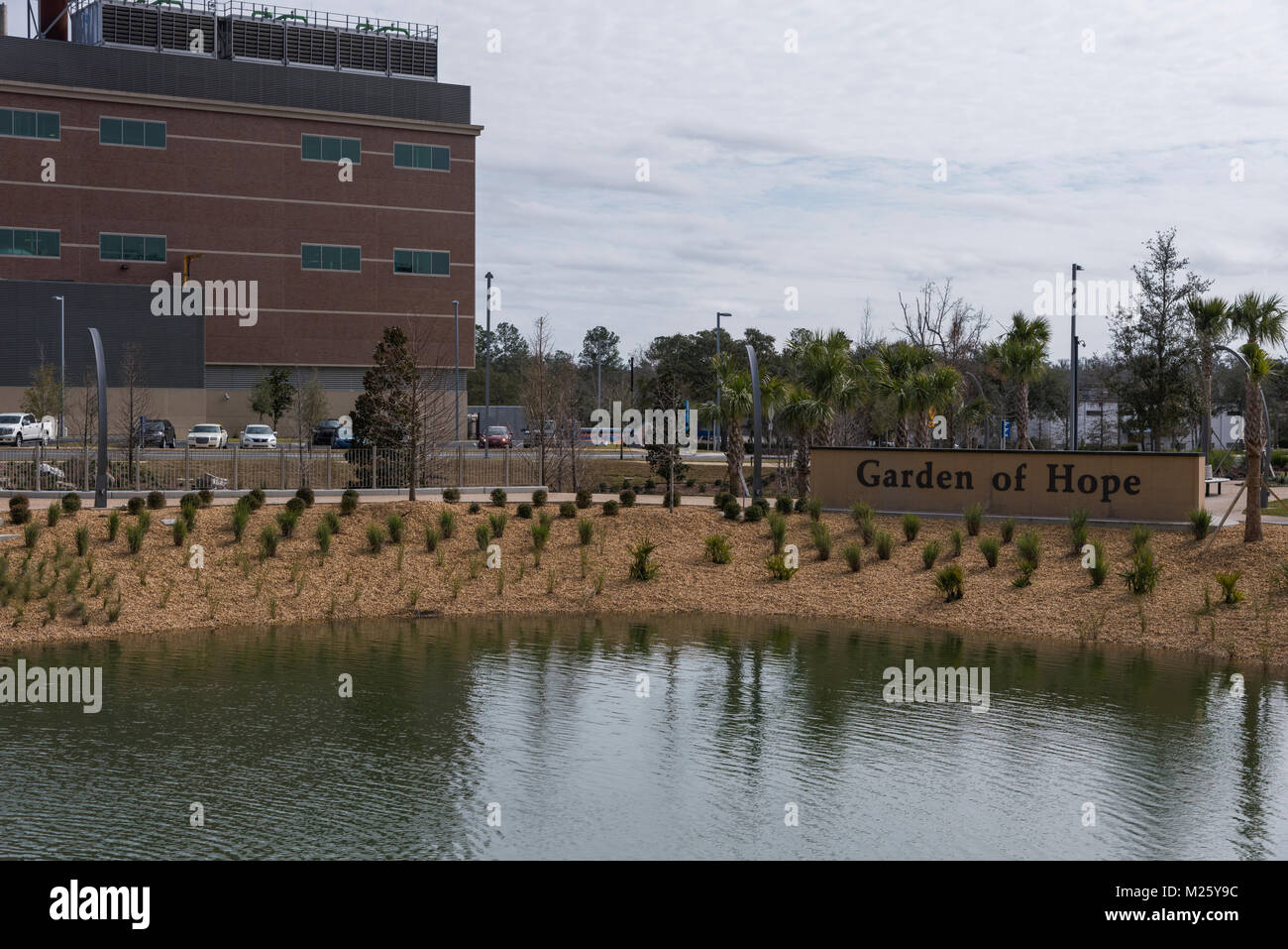 Shands UFHealth Cancer Hospital Gainesville, Florida USA Stock Photo