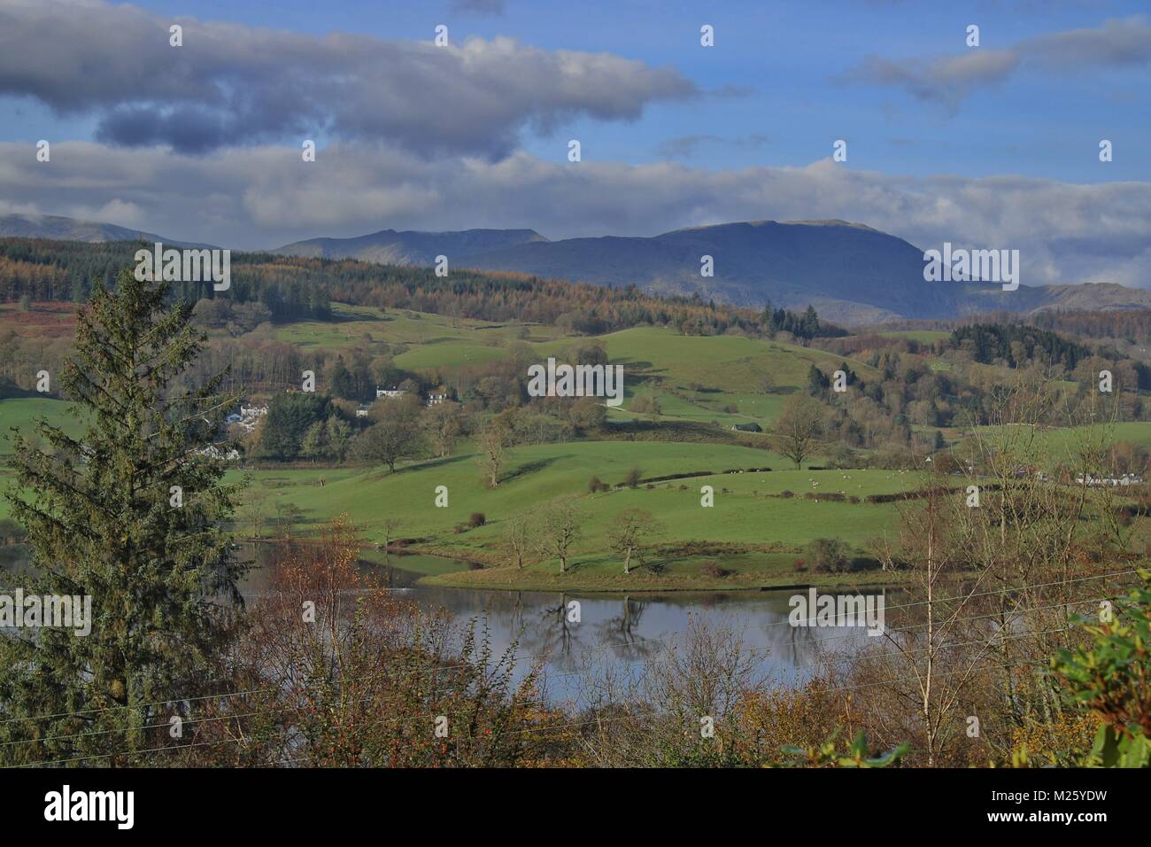 Looking across the Esthwaite Water in Cumbria, Lake District Stock Photo