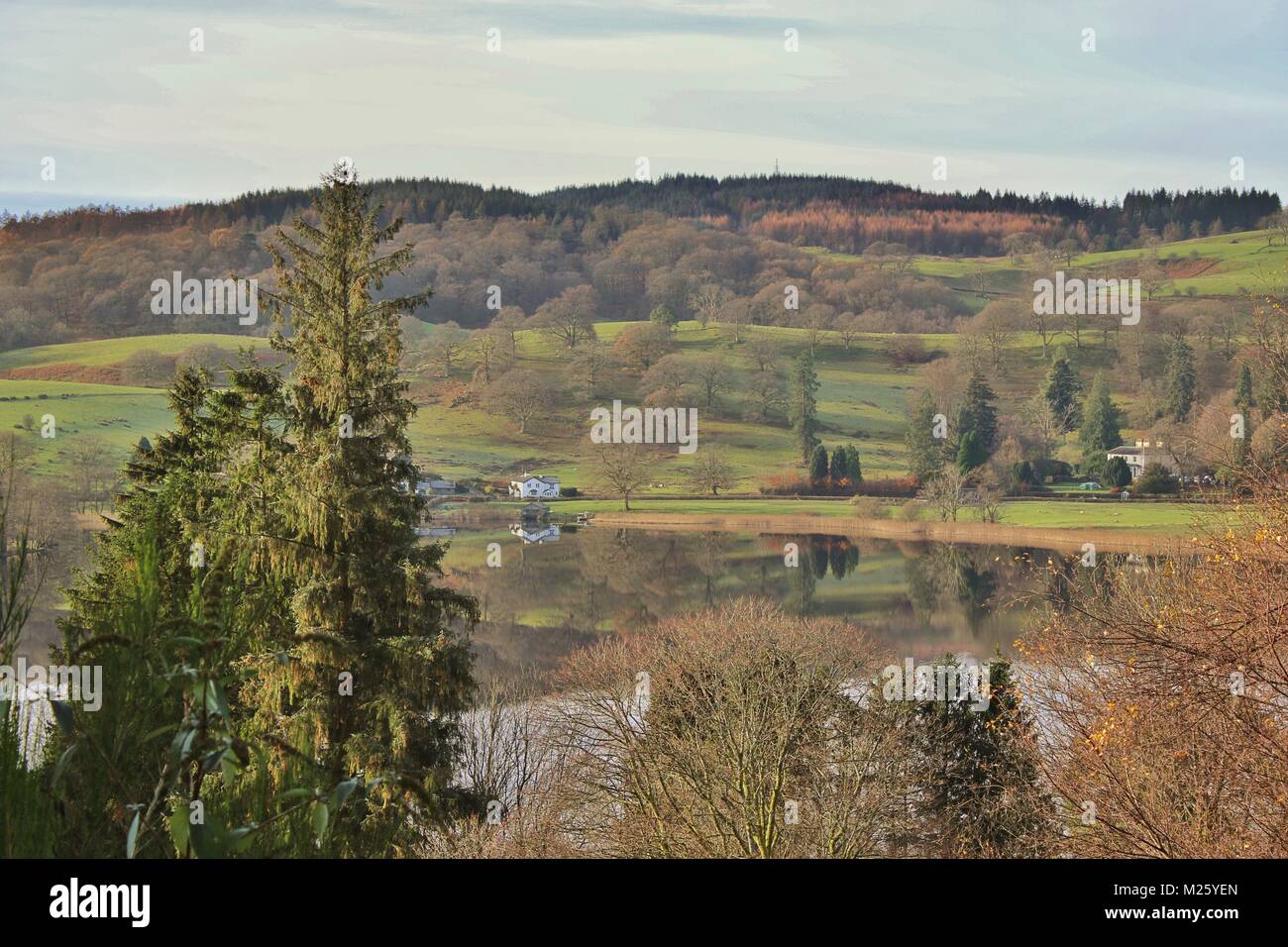 Scenic view across the fens in Cumbia in Autumn near Hawkshead. Stock Photo