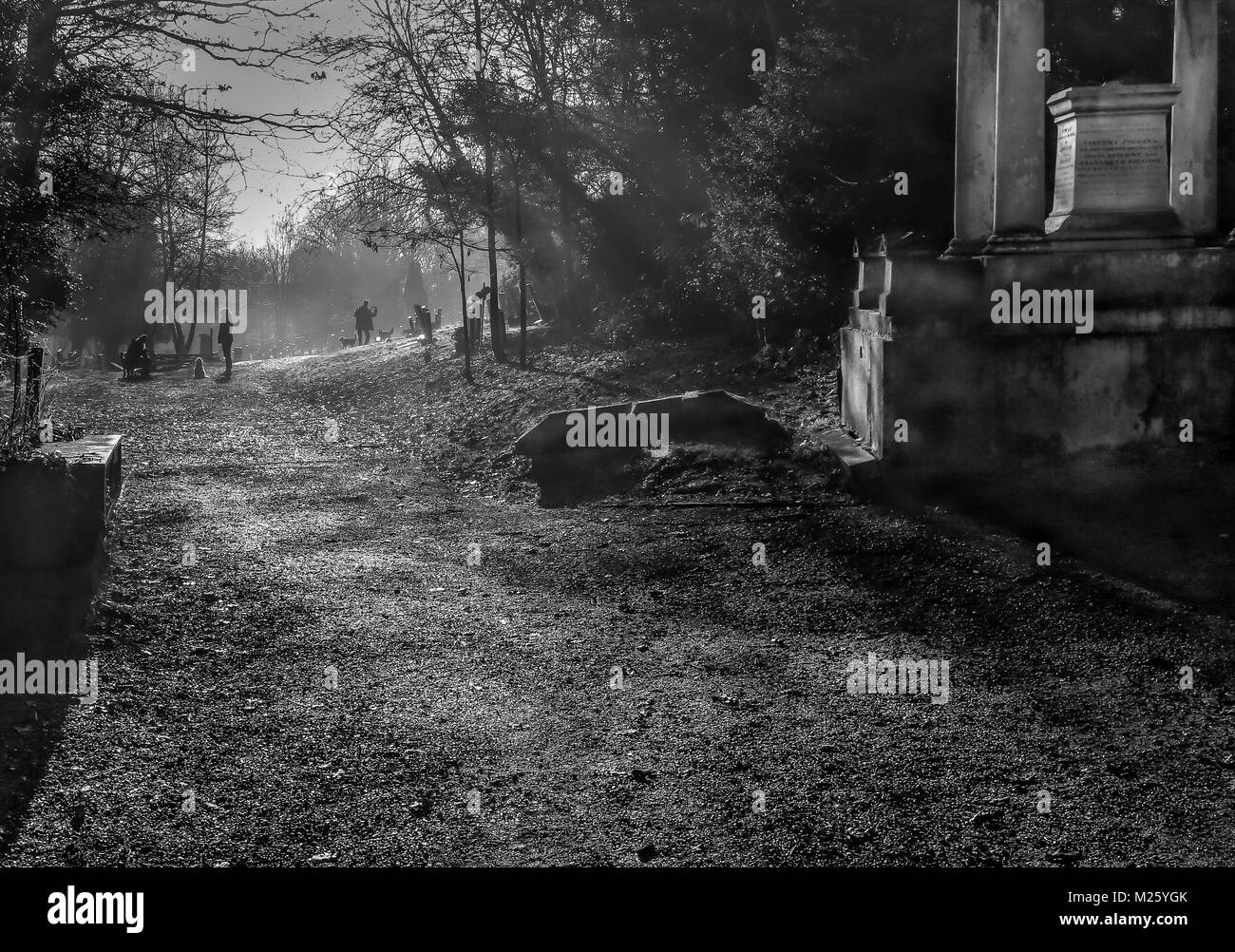 Nunhead cemetery in South London. It is one of the 'Magnificent Victorian seven cemeteries in