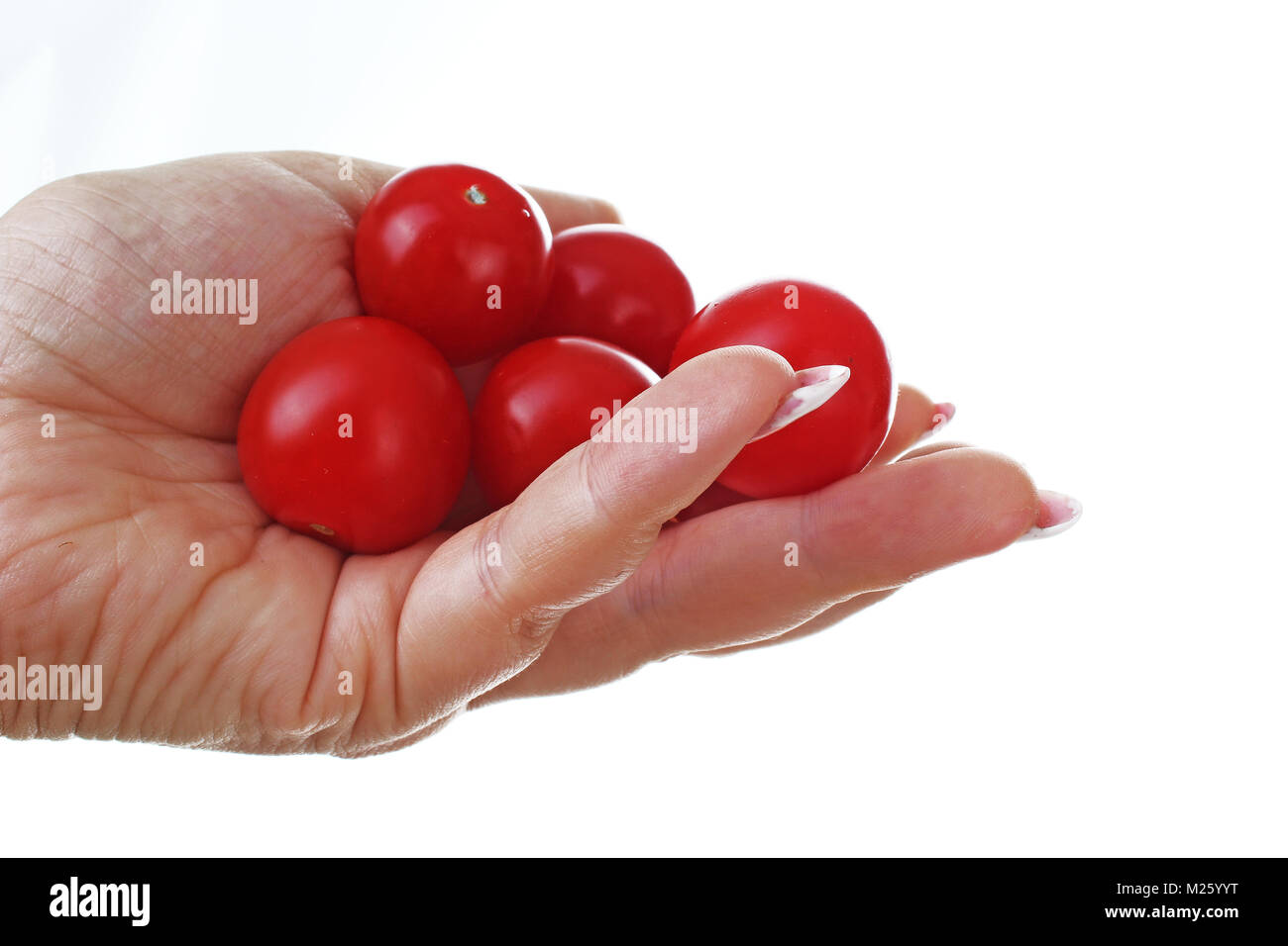 Woman hand holding mini tomatoes on isolated white cutout background ...