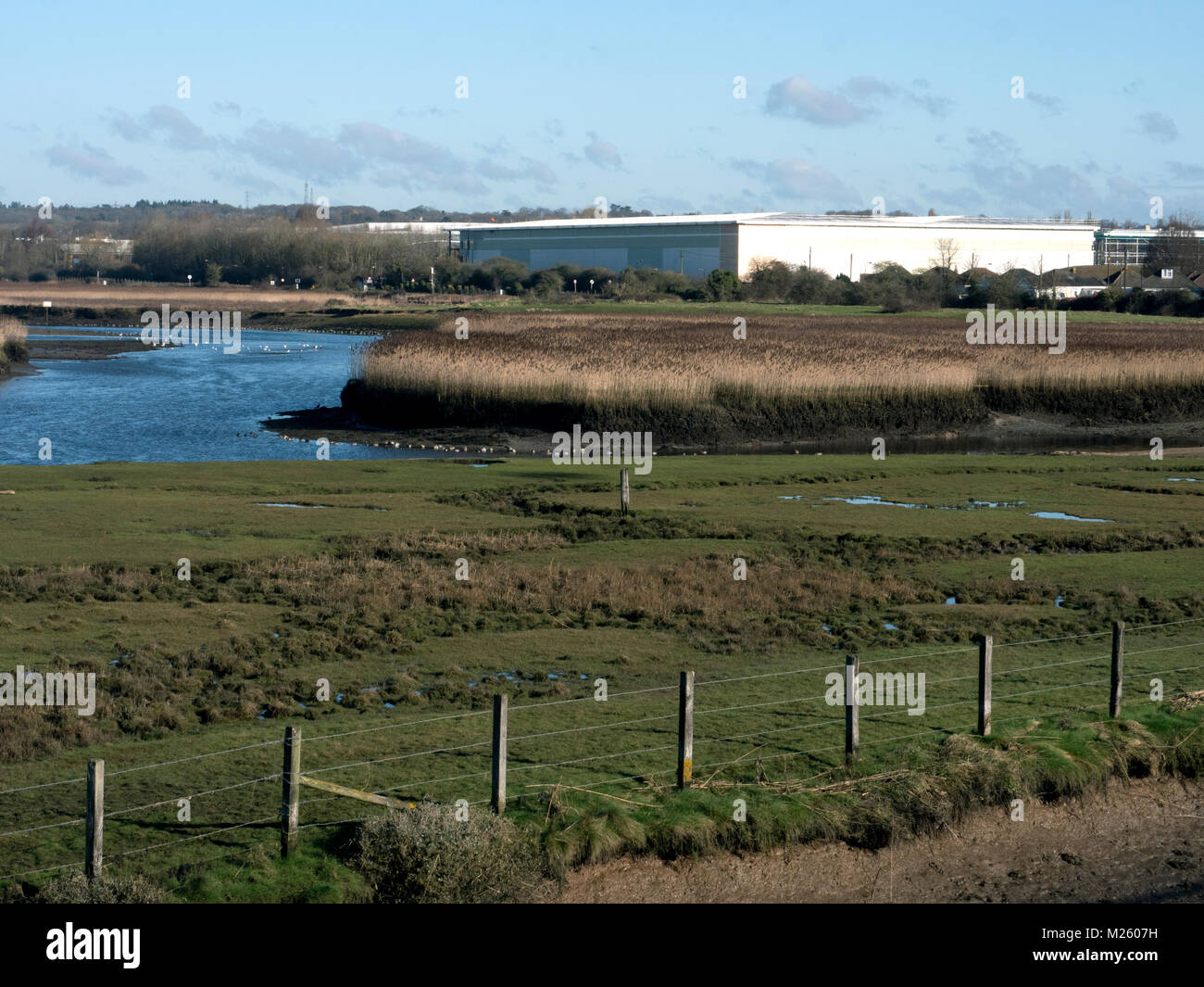 Lower Test Estuary, Southampton Water, Hampshire. Area of coastal and wetland habitats in a tidal estuary. UK Stock Photo