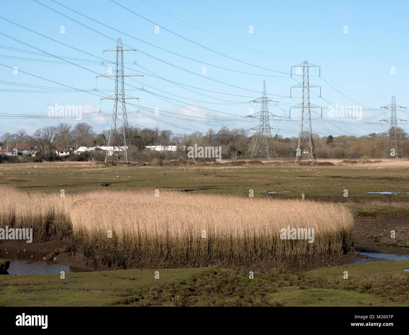 Lower Test Estuary, Southampton Water, Hampshire. Area of coastal and wetland habitats in a tidal estuary. UK Stock Photo