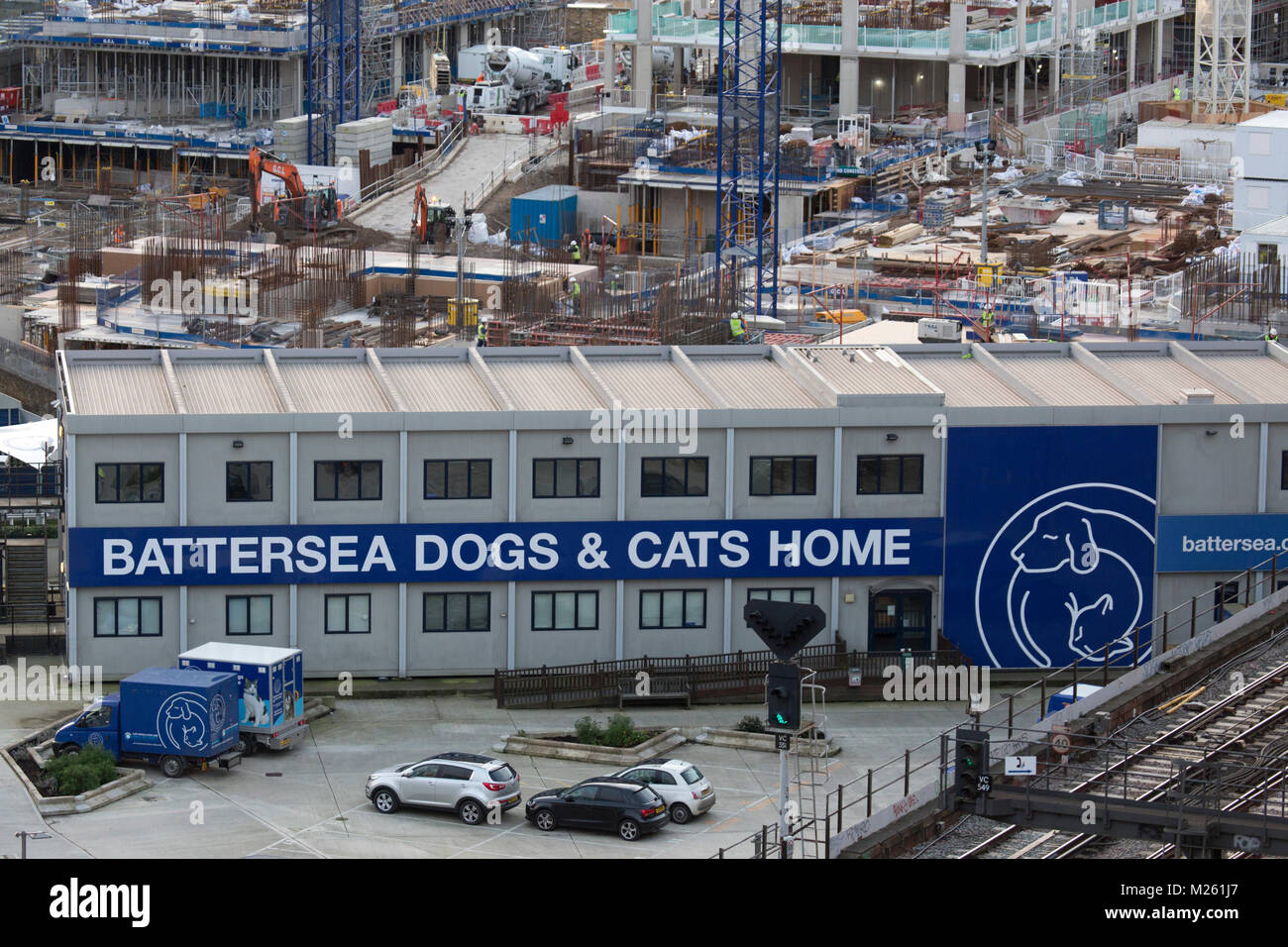 Battersea dogs and cat hot sale home