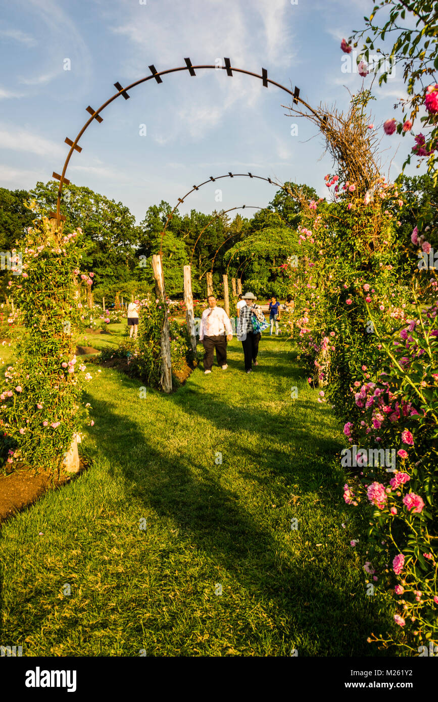 Elizabeth Park   Hartford, Connecticut, USA Stock Photo
