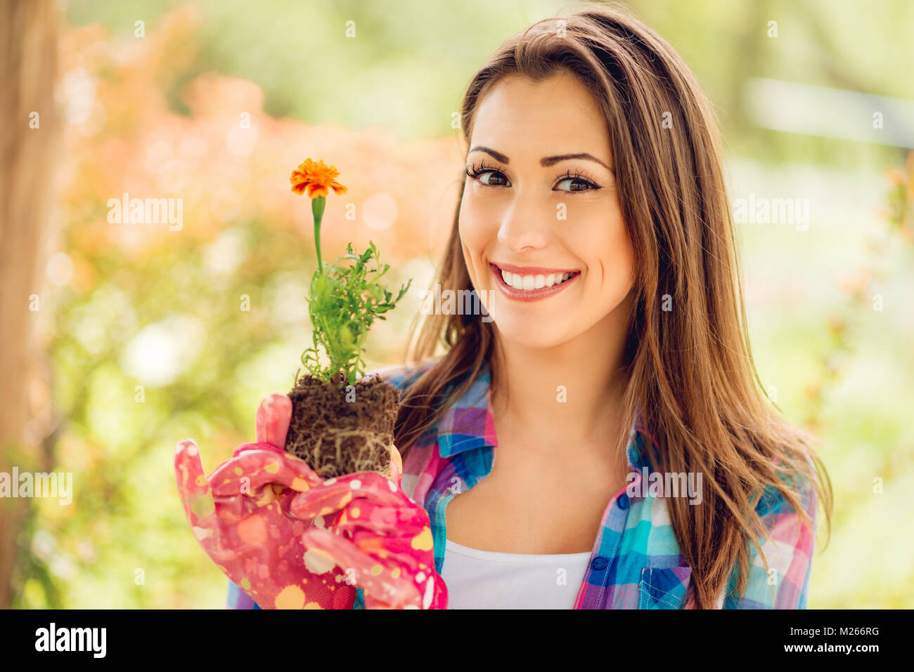 Portrait of a smiling young woman planting flowers in the garden ...