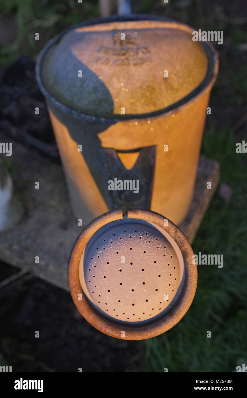 An old watering can. Stock Photo