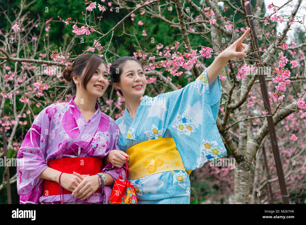 happy elegant female travelers wearing traditional kimono clothing visiting cherry blossom park and pointing sakura sharing with friend during japan t Stock Photo