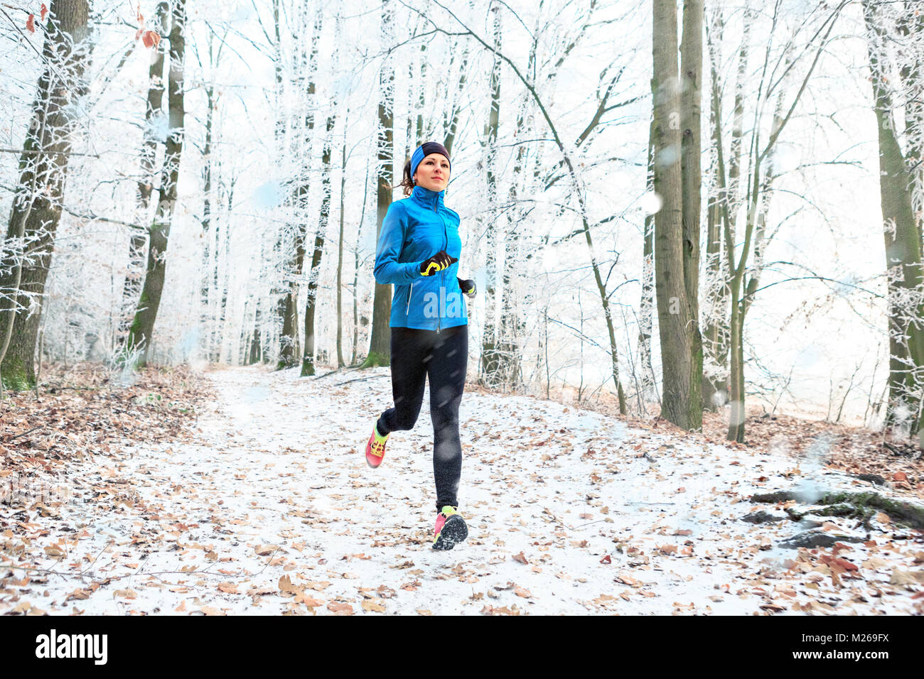 a young woman jogging in the wintry forest Stock Photo - Alamy