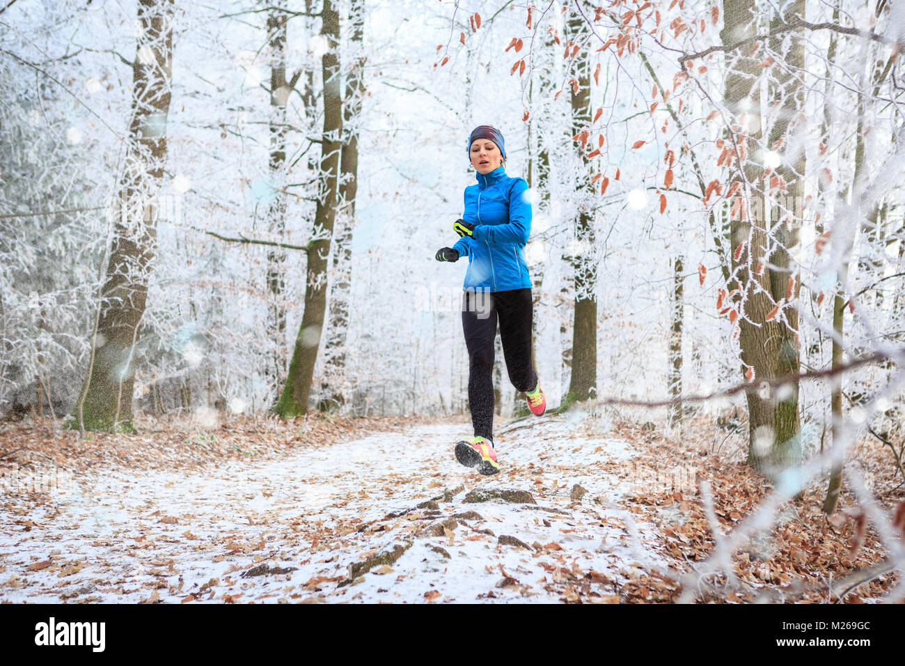 a young woman jogging in the wintry forest Stock Photo - Alamy