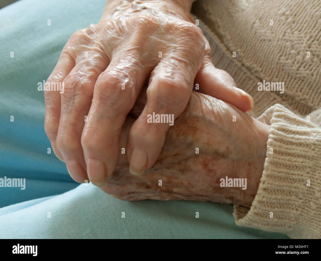 Elderly Woman Clasping her Arthritic Hands Stock Photo