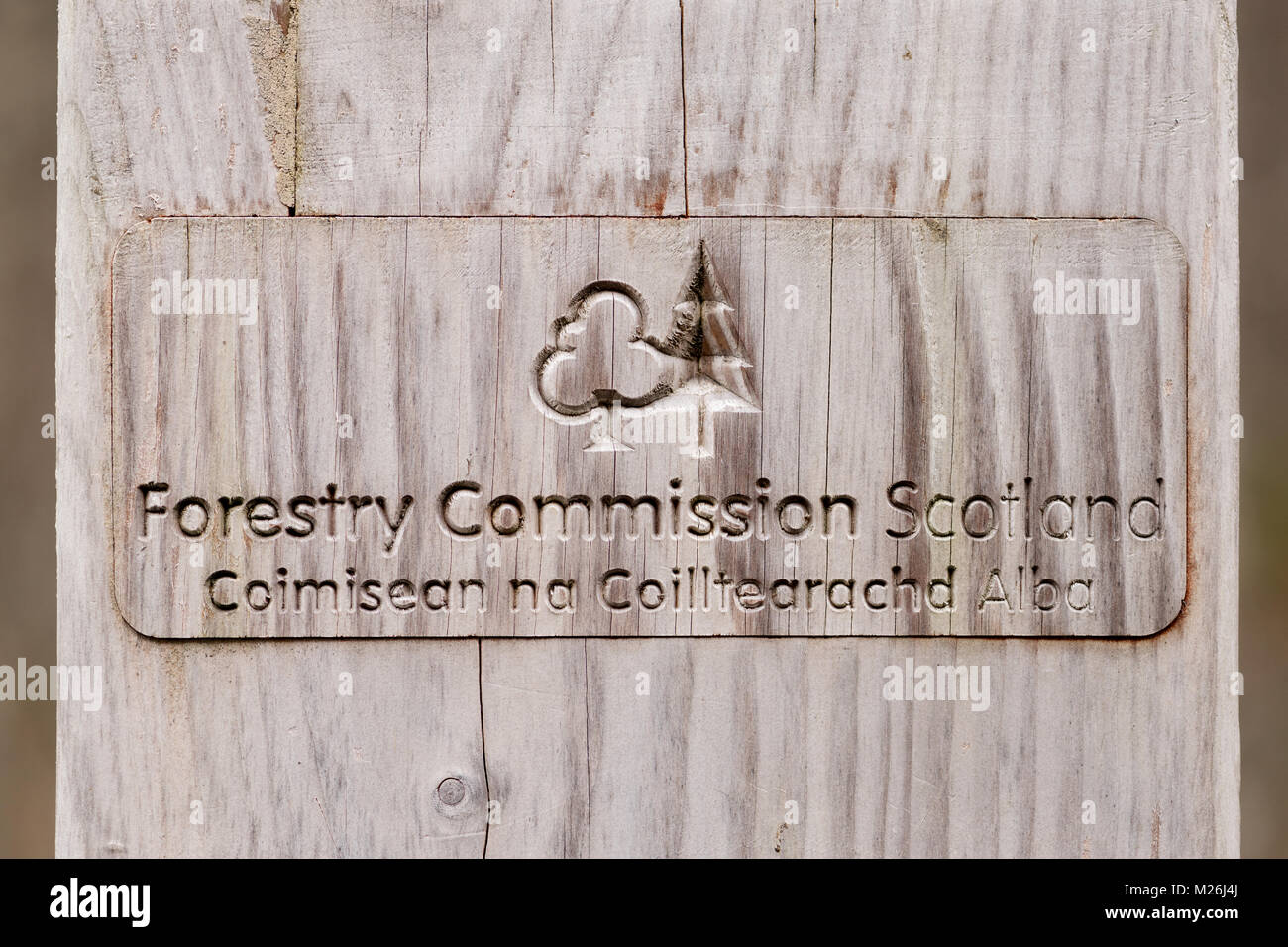 Forestry Commission Scotland sign carved from wood. Stock Photo