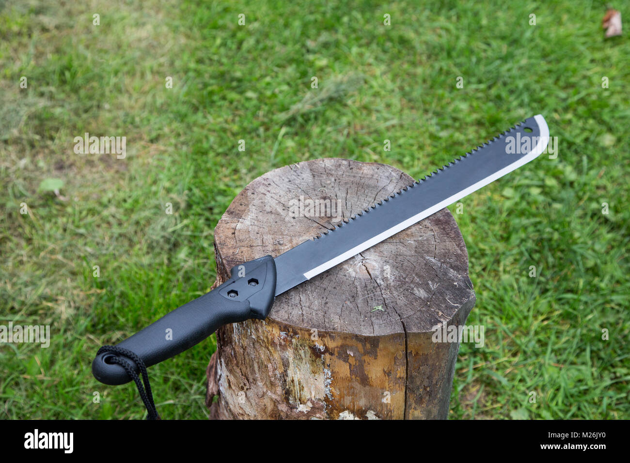 machete on a stump close up on a grass background Stock Photo