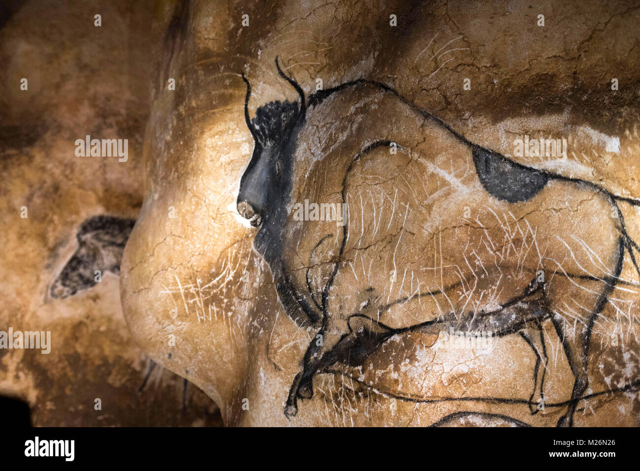 Vallon-Pont-d'Arc (south-eastern France): Caverne du Pont-d'Arc ...