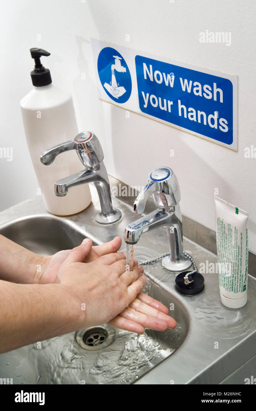 Handwashing at an industrial basin in a biosciences laboratory, using