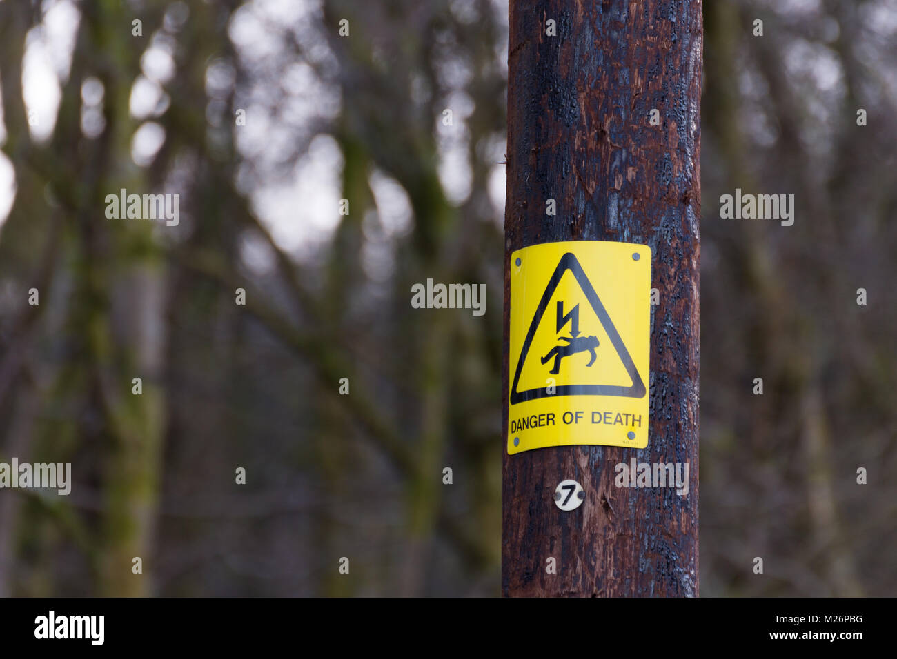 A warning sign on a power line pole Stock Photo