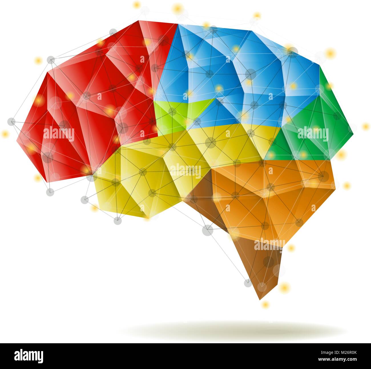 Human Brain Anatomy Structure Vector Illustration Stock Vector Image Human Brain Anatomy Structure Vector Illustration Stock Vector Image