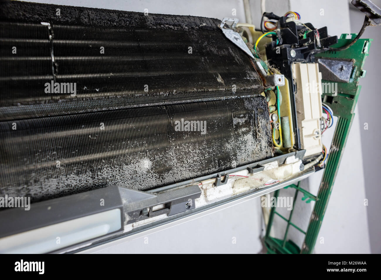 15 Winning Niche Market Examples (Updated for 2024) - Mirasee