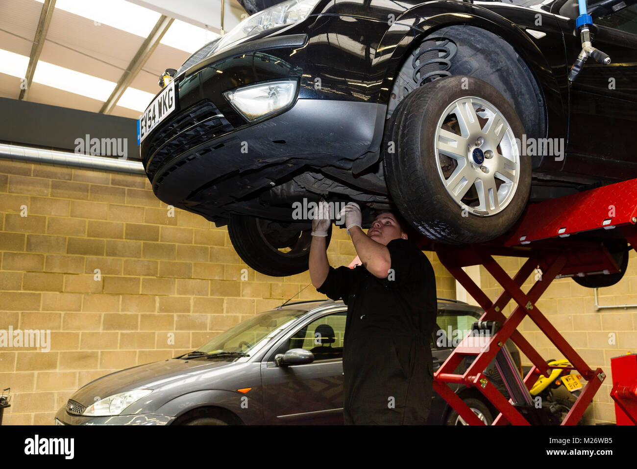 A student stands beneath a Ford car on a large jack and inspects the undercarriage. Stock Photo
