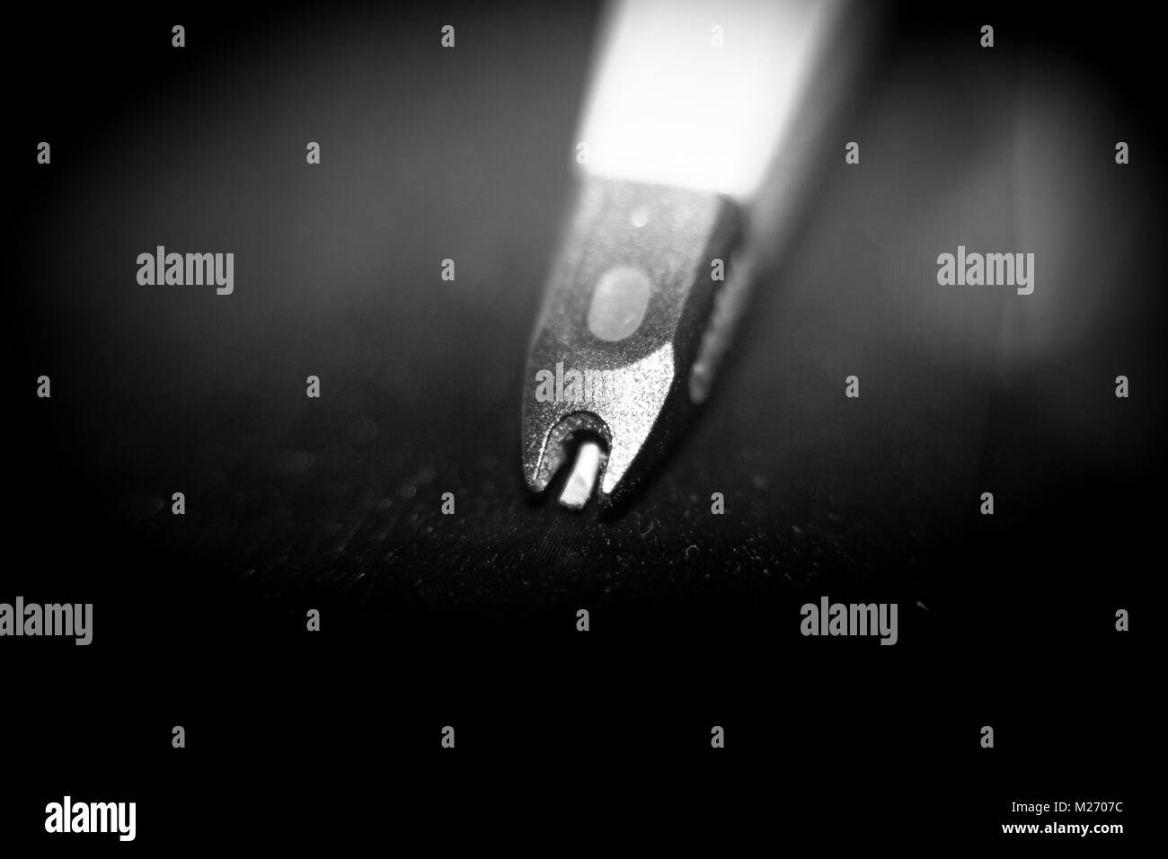 vinyl record player needle Stock Photo Alamy