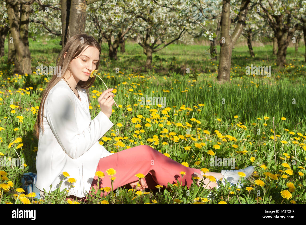 Portrait of beautiful young woman in apple trees blooming park on a ...