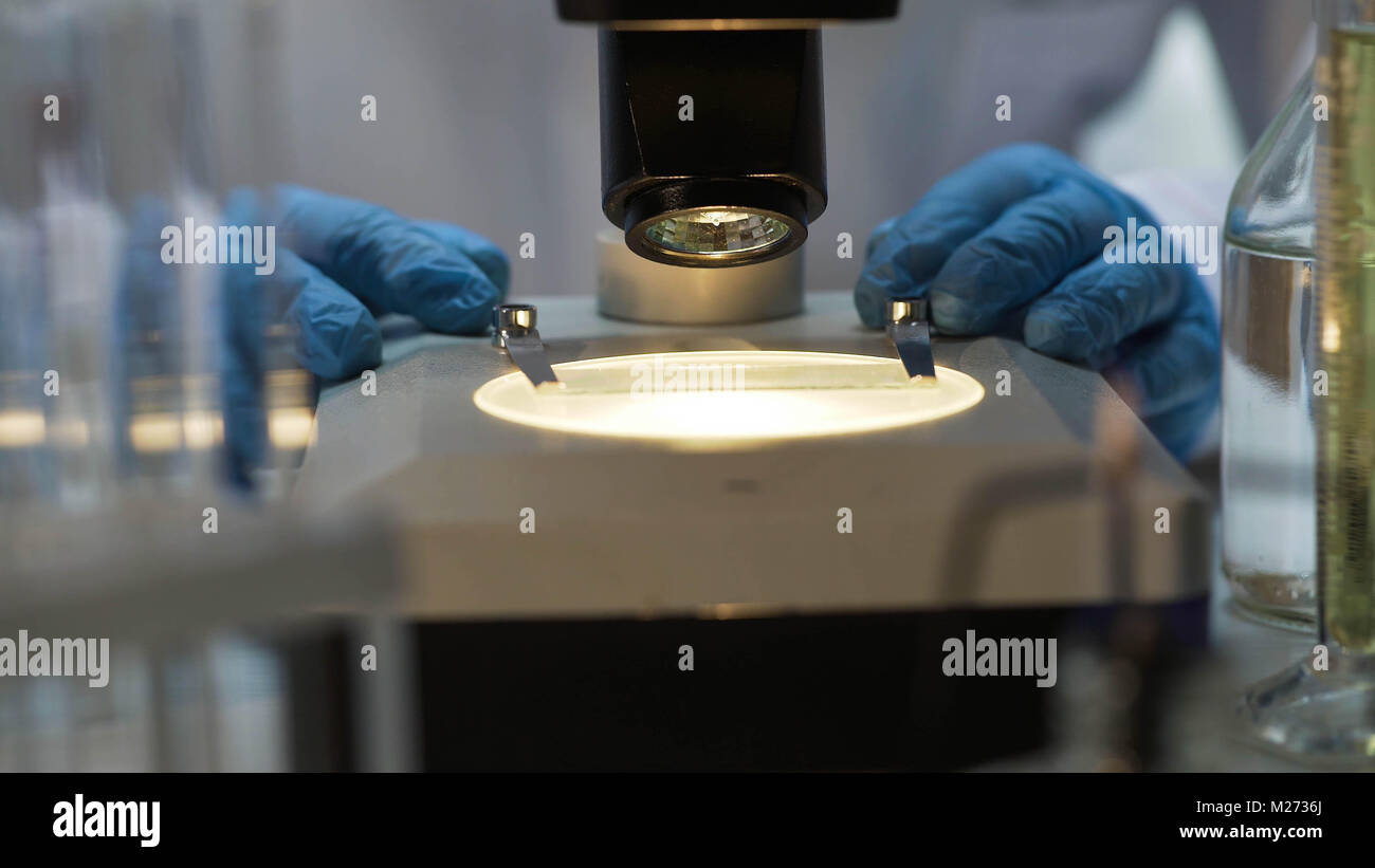 Hands of medic moving slide under microscope, microbiology research at