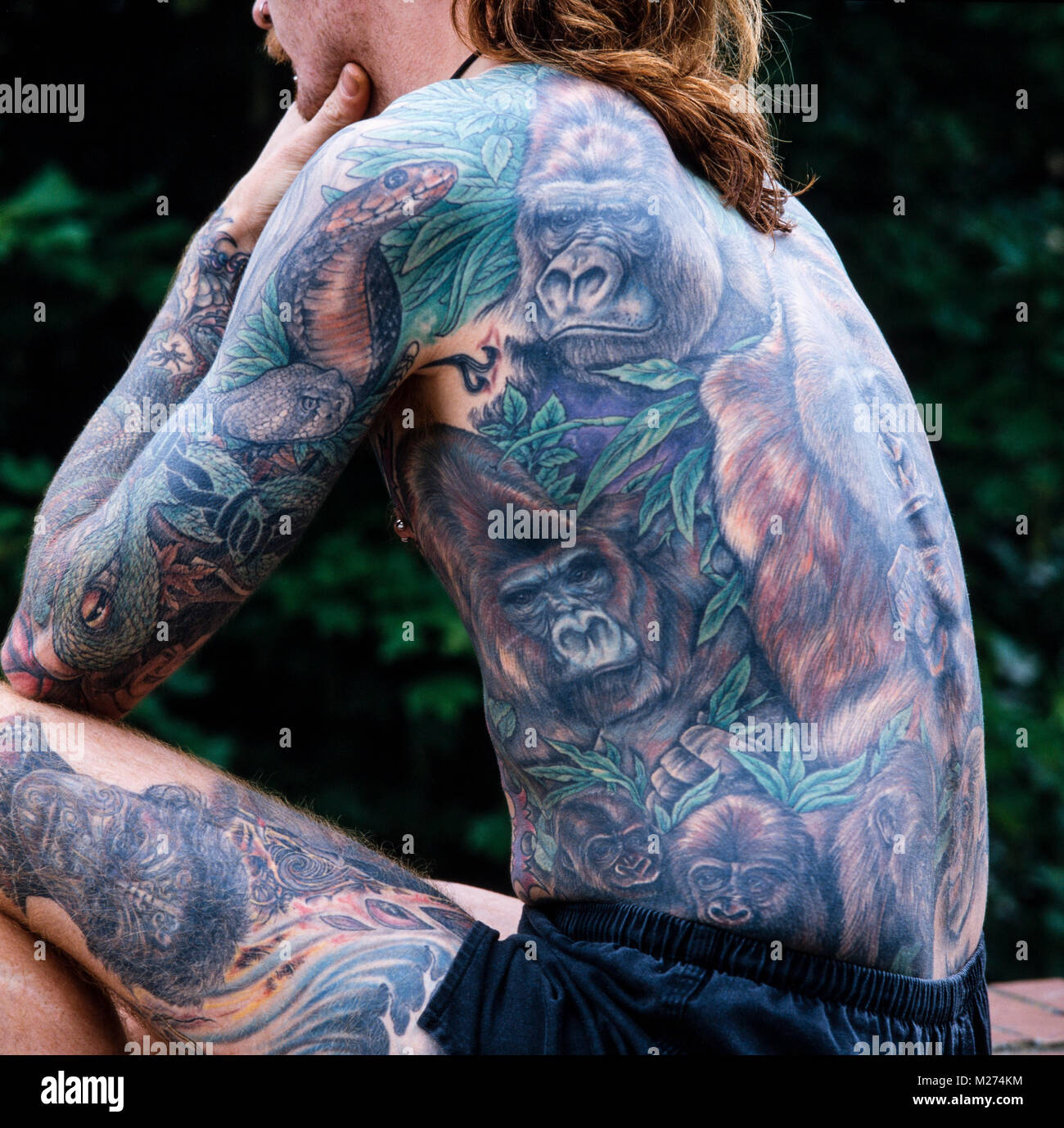 Gorilla Tattoo Stock Photos & Gorilla Tattoo Stock Images Alamy