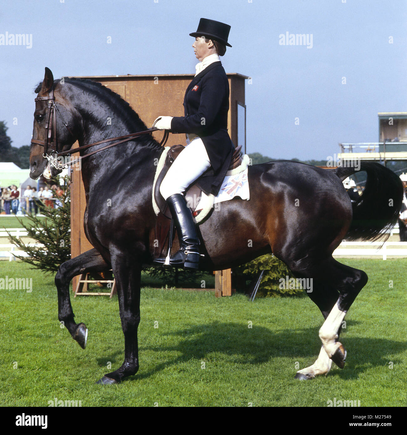 Dutch Courage Jennie Loriston Clarkes Famous Dutch Warm - 