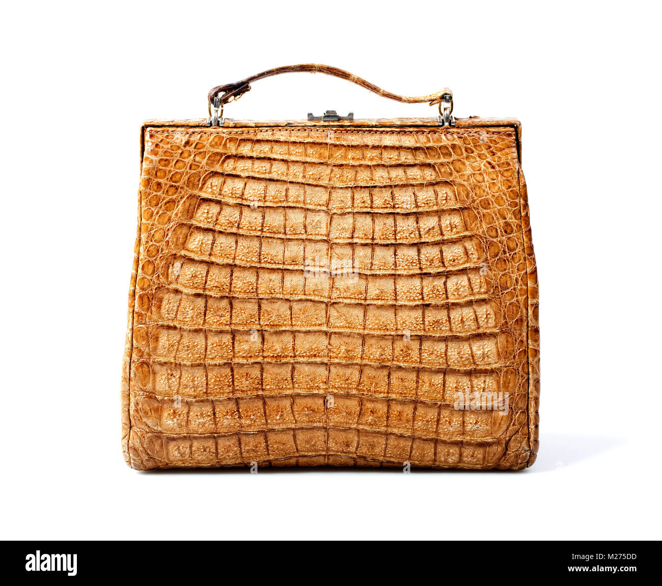 handbag made of genuine crocodile leather Stock Photo
