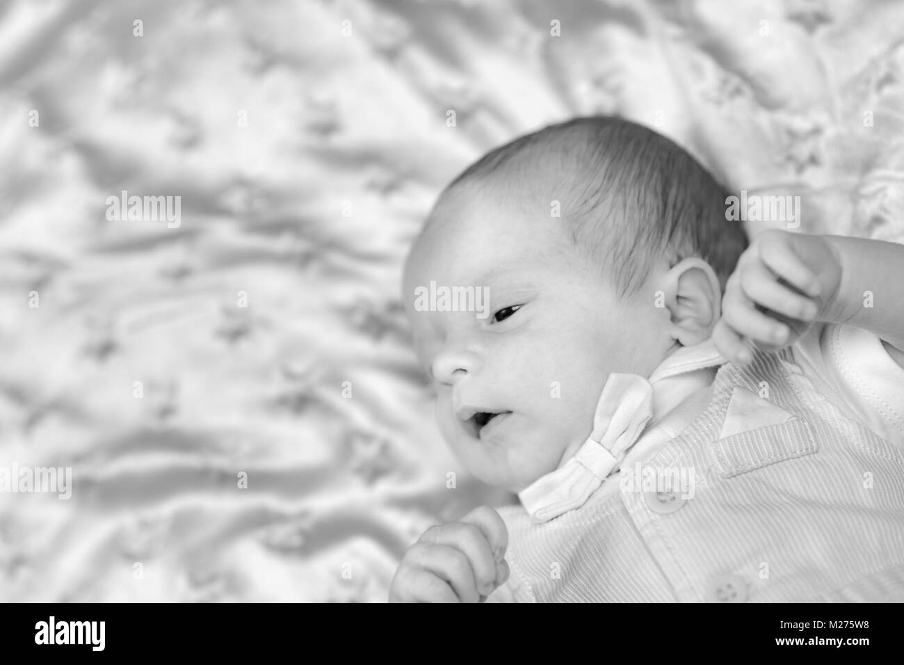 newborn baby boy Stock Photo