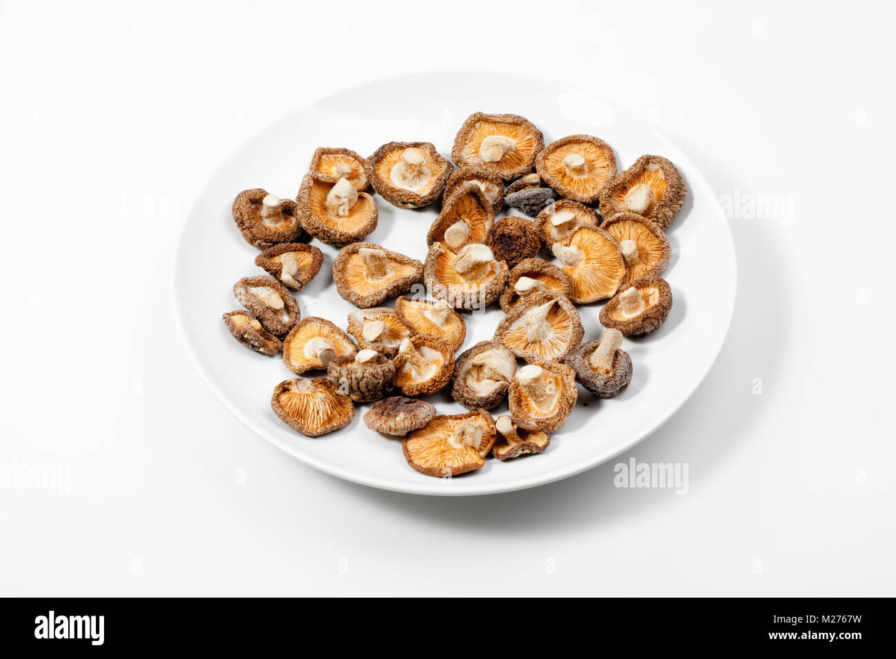 Shiitake mushrooms (Lentinula edodes) Stock Photo