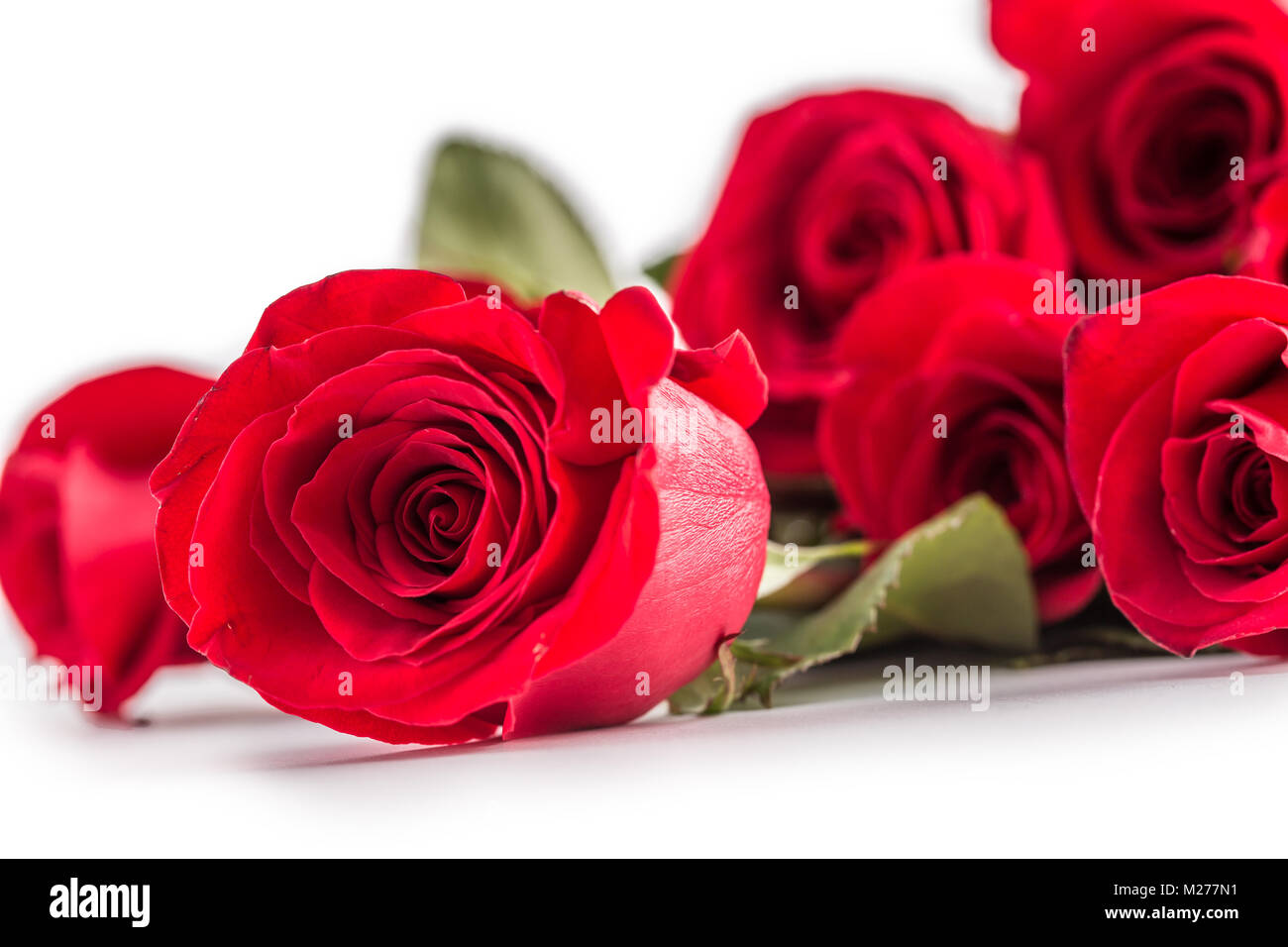 Red roses. Bouquet of red roses isolated on white Stock Photo - Alamy