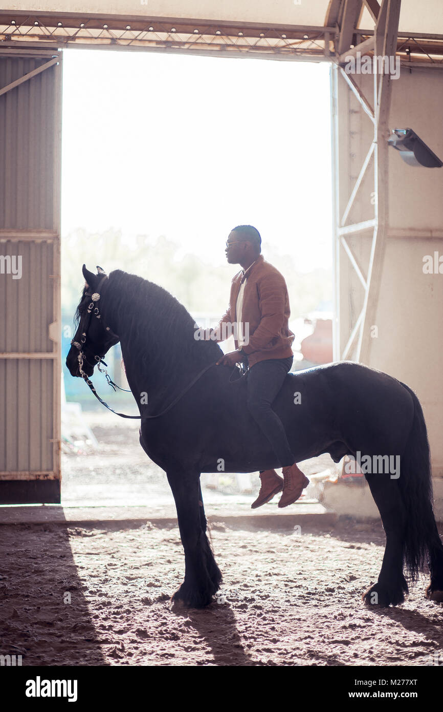 man riding brown horse on countryside Stock Photo Alamy