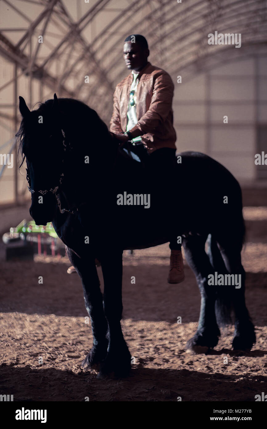 man riding brown horse on countryside Stock Photo Alamy