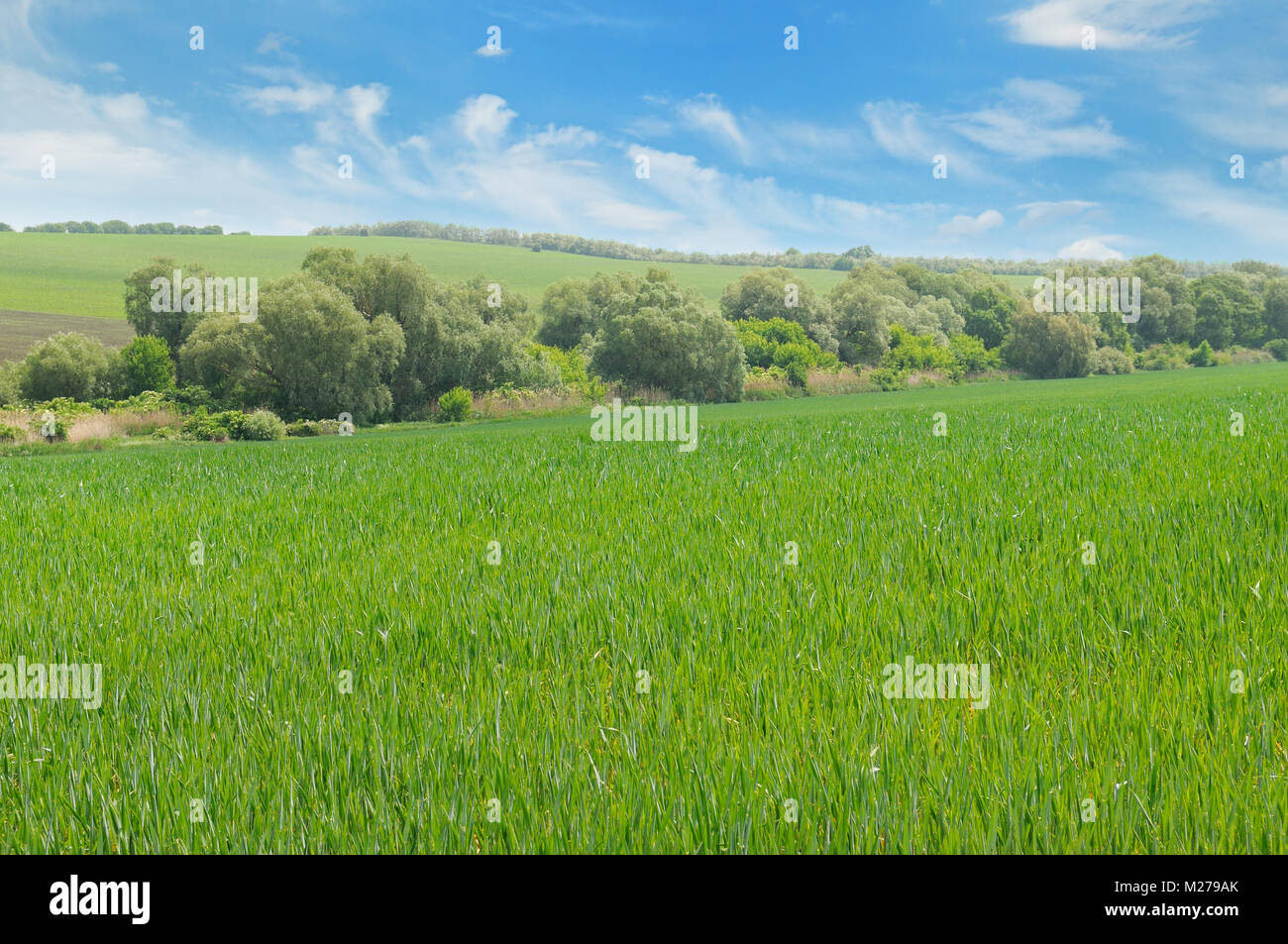 green field and blue sky with clouds Stock Photo - Alamy