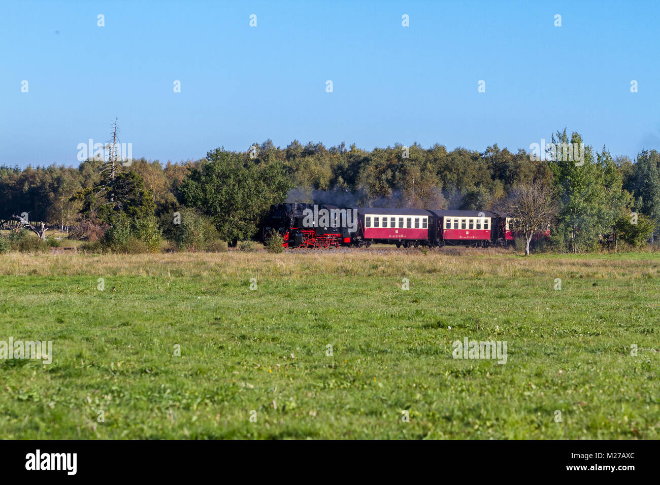 Harzer Schmalspurbahn im Selketal Stock Photo