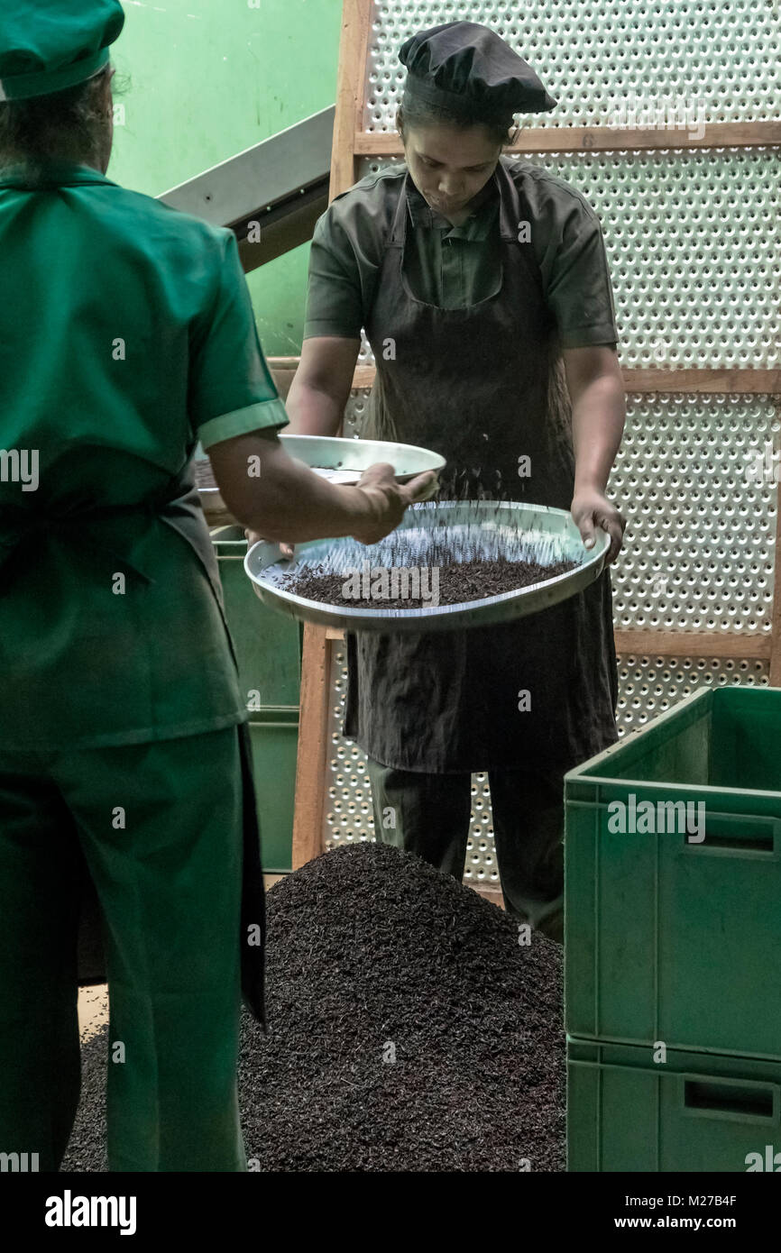 Glenloch tea factory, Ramboda, Sri Lanka, Asia Stock Photo Alamy