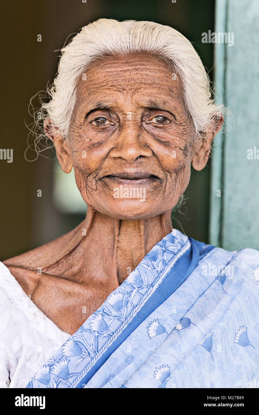Sri Lankan Lady, Maskeliya, Sri Lanka, Asia Stock Photo