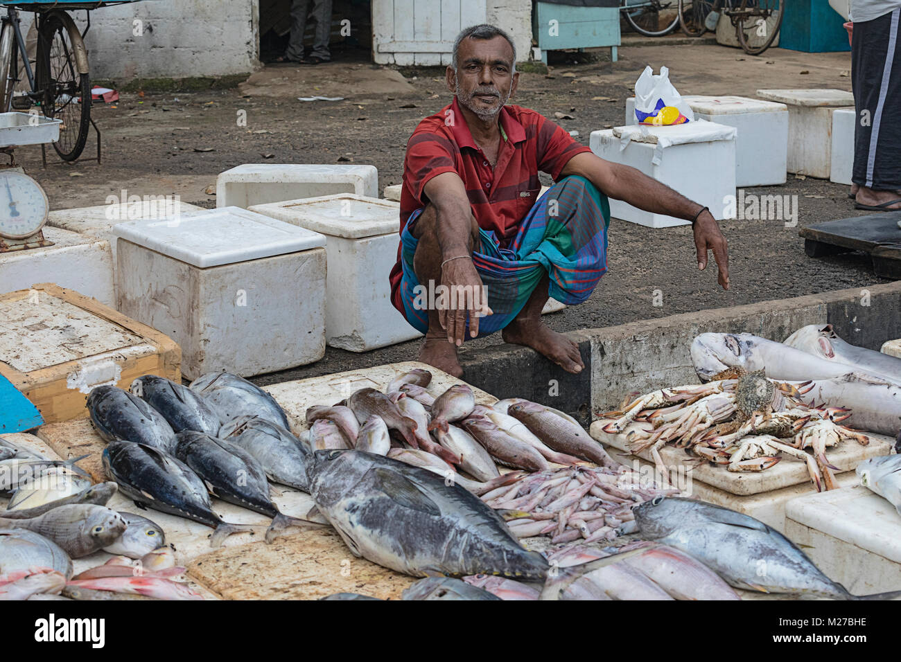 Mirissa, harbour, Sri Lanka, Asia Stock Photo