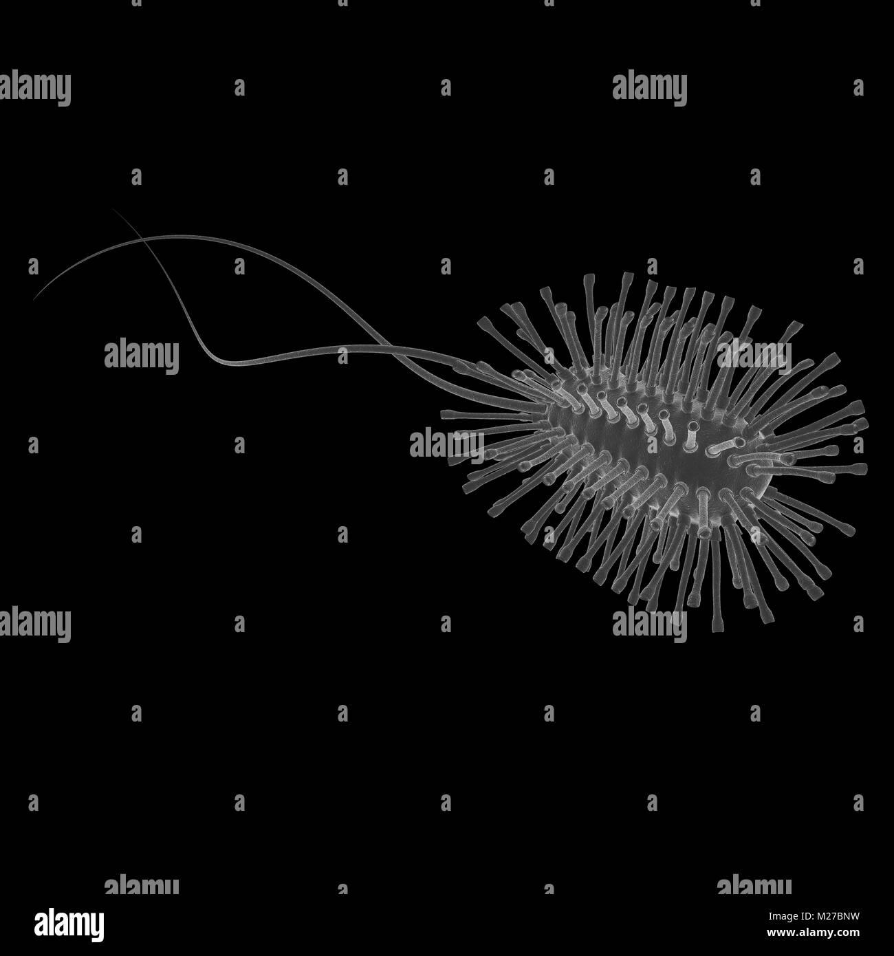 Dangerous bacteria on a black 3d render Stock Photo - Alamy