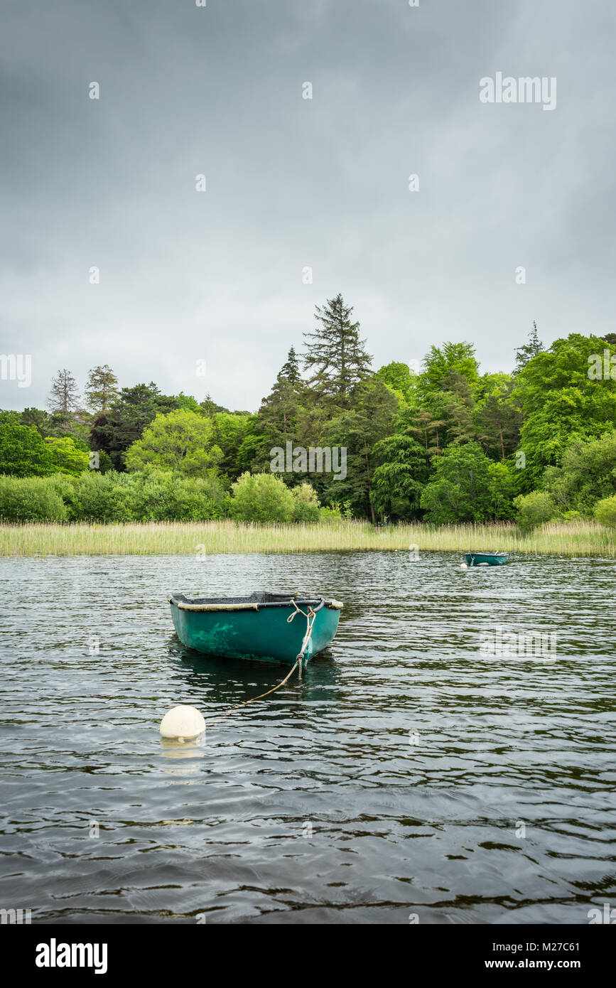 Rowing boat moored on lake, County Kerry, Ireland Stock Photo