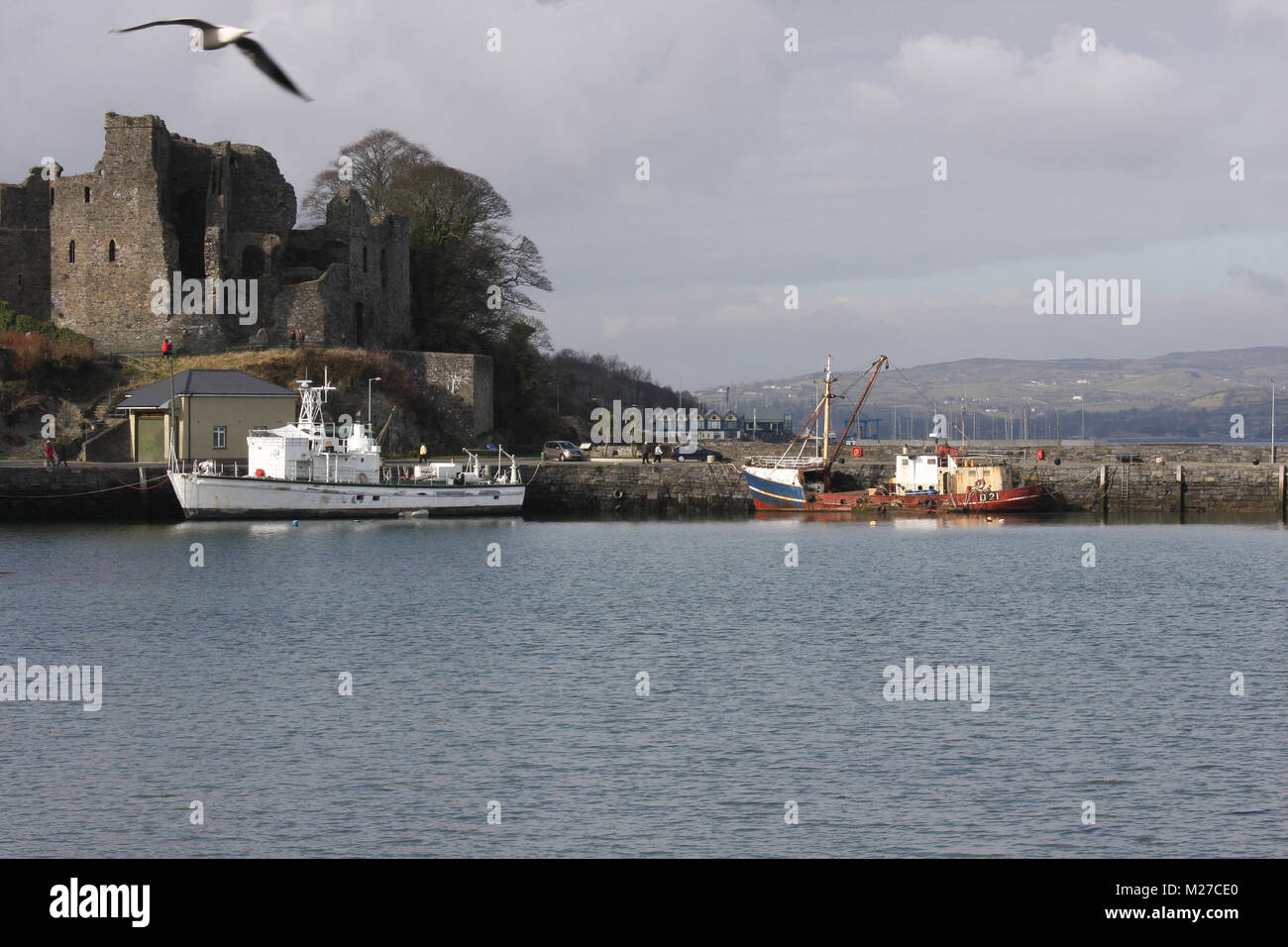Carlingford harbour in Carlingford County Louth Ireland Stock Photo Alamy