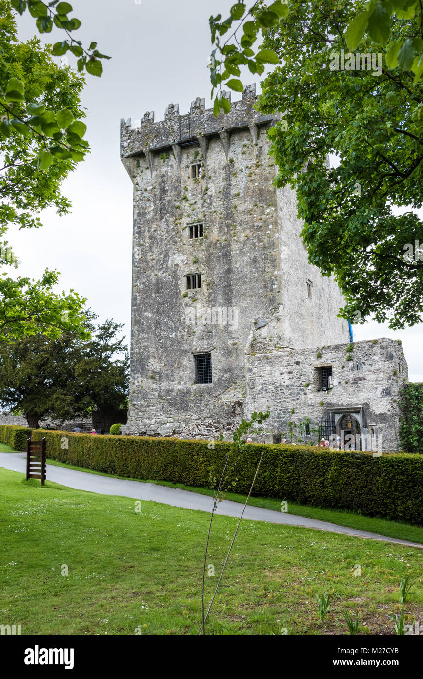 Blarney Castle and Gardens, County Cork, Ireland Stock Photo