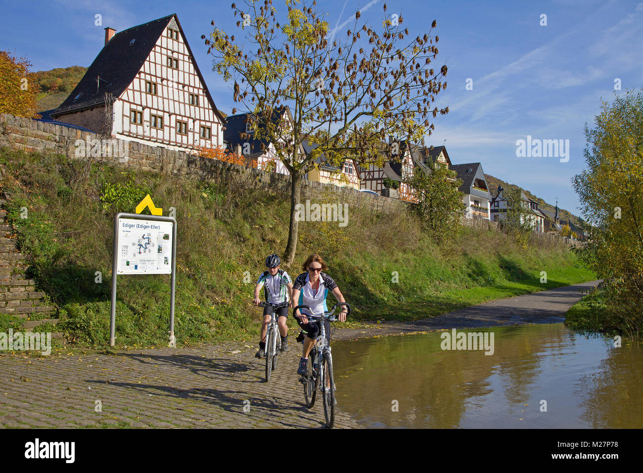 Cyclists at a overflowed bike trail, riverside of Moselle river, wine village Ediger, Ediger-Eller, Rhineland-Palatinate, Germany, Europe Stock Photo