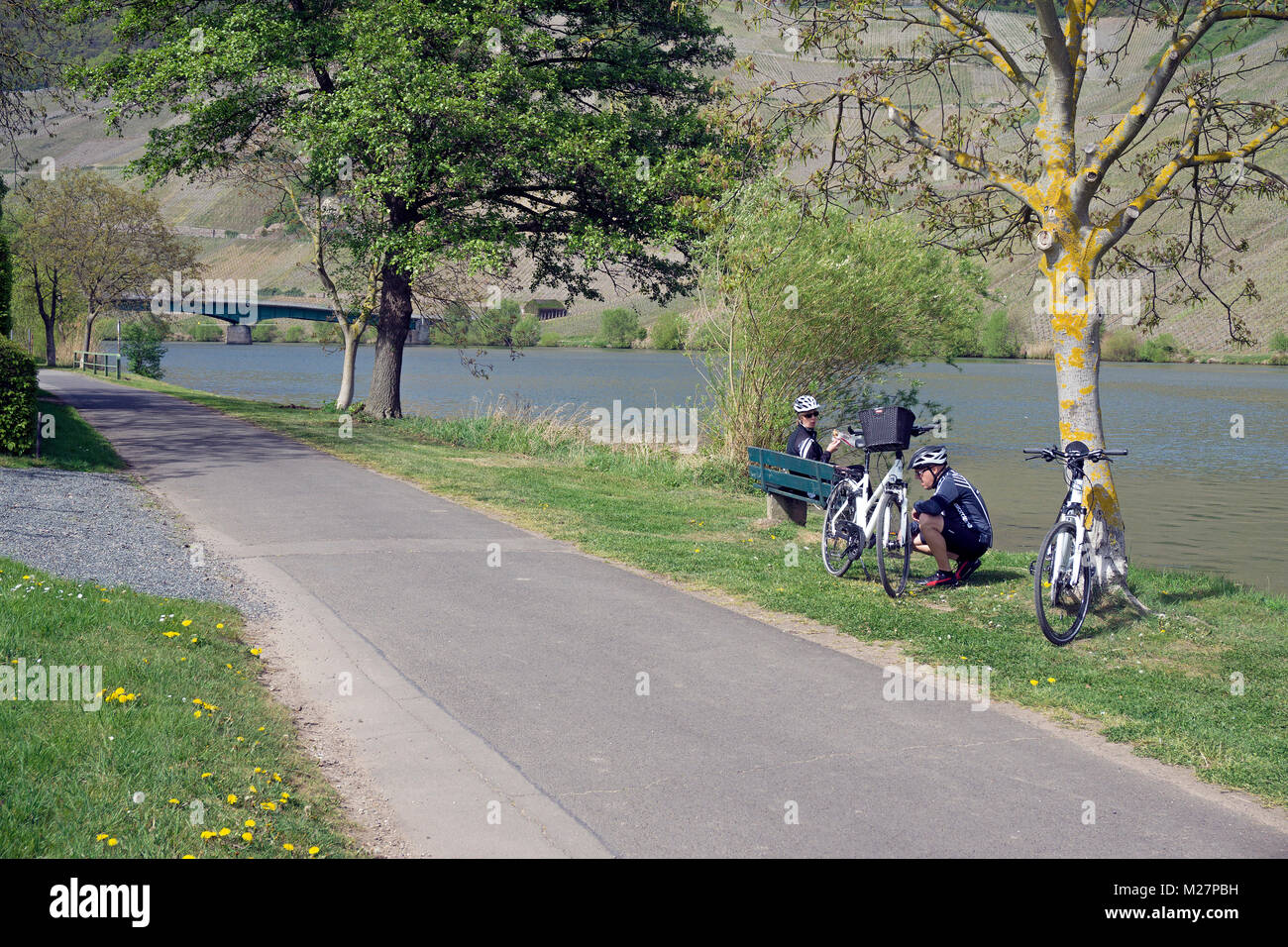 Cyclists resting at riverside of Moselle river, Piesport, Moselle river, Rhineland-Palatinate, Germany, Europe Stock Photo