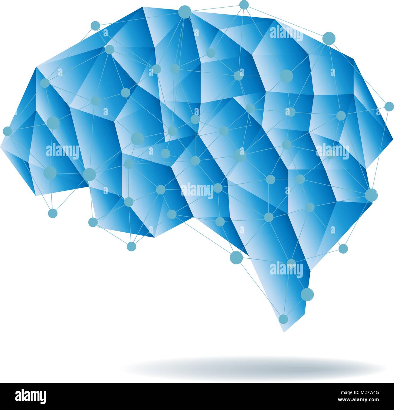 Human Brain Anatomy Structure Vector Illustration Stock Vector Image Human Brain Anatomy Structure Vector Illustration Stock Vector Image