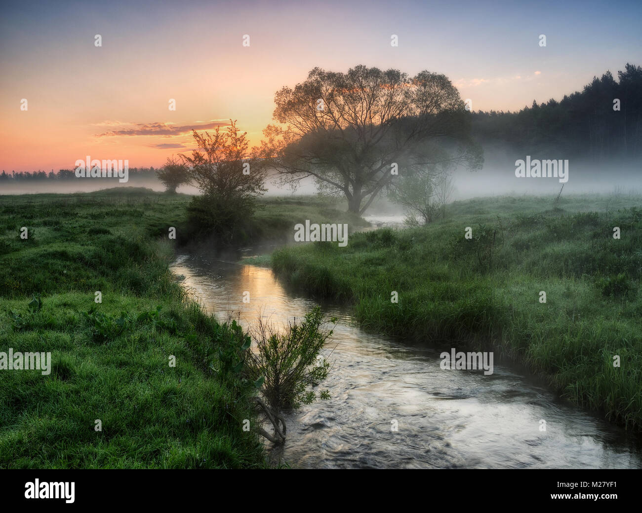 Muddy Spring Morning Misty morning wood hi-res stock photography and images - Alamy